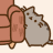 可爱灰棕色小猫挠沙发