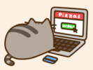 可爱灰棕色小猫  开心玩电脑