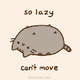可爱灰棕色小猫so lazy can't  move