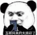 互联网真的太精彩了熊猫头表情 摆烂表情 熊猫头小表情 低像素熊猫头