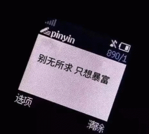 pinyin X可 别无所求只想暴富 890/1 选项 除