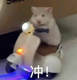 冲！ 可爱仓鼠骑着小摩托，配文“冲！”的超萌动态表情包表情包图片gif动图 - 求表情网,斗图从此不求人!