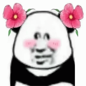 搞怪熊猫头羞涩带花
