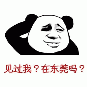 最近很火的熊猫头见过我？在东莞吗？