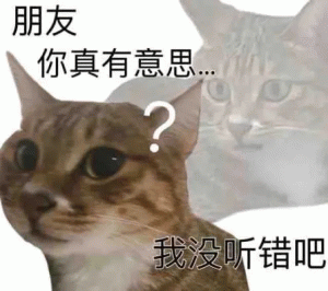 小猫咪朋友 你真有意思 我没听错吧表情包