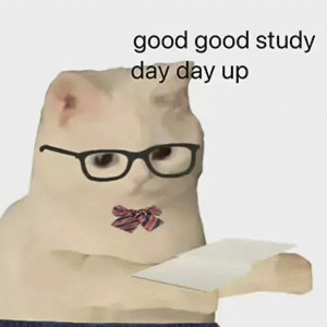 小猫咪good good study day day up表情包