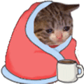 猫咪喝茶表情包