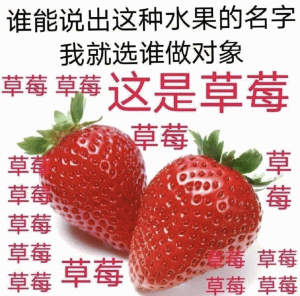 谁能说出这种水果的名字 我就选谁做对象 草莓草莓 这是草莓 草莓 草萄 草莓 草莓 草莓 草莓 草莓 水果表情包  水果套路表情包  做我对象表情包