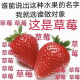 谁能说出这种水果的名字 我就选谁做对象 草莓草莓 这是草莓 草莓 草萄 草莓 草莓 草莓 草莓 草莓 水果表情包  水果套路表情包  做我对象表情包