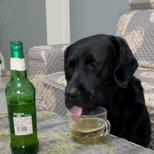 小狗狗喝喝喝表情包