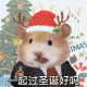鼠鼠表情包：一起过圣诞好吗