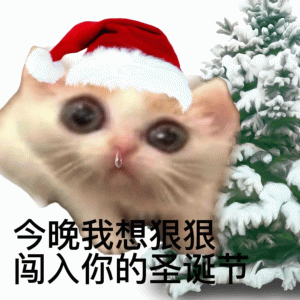 今晚我想狠狠 闯入你的圣诞节 圣诞节表情包  猫猫表情包