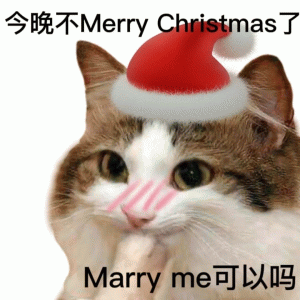 今晚不Merry Christmas了 Marry me可以吗 圣诞节表情包  猫猫表情包