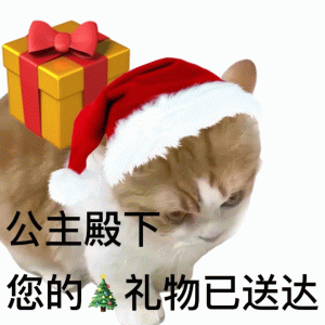 公主殿下 您的鑫礼物已送达 圣诞节表情包  猫猫表情包