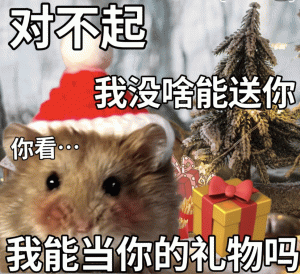对不起 我没啥能送你 你看 我能当你的礼物吗 鼠鼠圣诞节表情包  礼物表情包