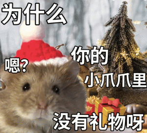 为什么 嗯？ 你的 爪爪里 没有礼物呀 鼠鼠圣诞节表情包  礼物表情包