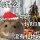 鼠鼠圣诞节表情包