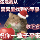 鼠鼠圣诞节表情包