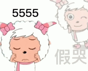 5555 假奥
