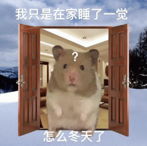 我只是在家睡了一觉 怎么冬天了 鼠鼠表情包：冻鼠我了