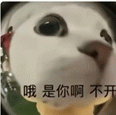 哦是你啊不开 小猫咪开门关门表情包