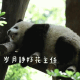 超可爱的熊猫表情包