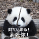 超可爱的熊猫表情包 阿瓦达索命！ 萌死你！ 超可爱的熊猫表情包