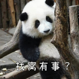 超可爱的熊猫表情包 找窝有事？ 超可爱的熊猫表情包