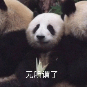超可爱的熊猫表情包 无所谓了 超可爱的熊猫表情包