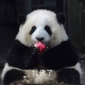 超可爱的熊猫表情包 我佛了 超可爱的熊猫表情包