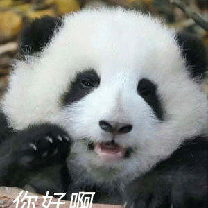 超可爱的熊猫表情包 你力子阿 超可爱的熊猫表情包