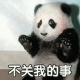 超可爱的熊猫表情包 不关我的事 超可爱的熊猫表情包