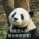 超可爱的熊猫表情包 我能怎么办？ 我也很绝望啊！ 超可爱的熊猫表情包