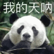 超可爱的熊猫表情包 我的天呐 超可爱的熊猫表情包