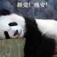 超可爱的熊猫表情包 睡觉！晚安！ 超可爱的熊猫表情包
