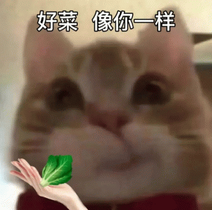 好菜像你一样 升级版歪嘴小猫表情包