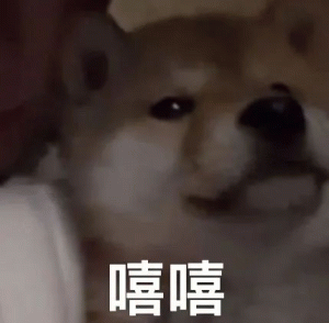 张呼安表情包 可爱柴犬露出笑容,配文“嘻嘻”,尽显俏皮可爱表情包图片gif动图 - 求表情网,斗图从此不求人!