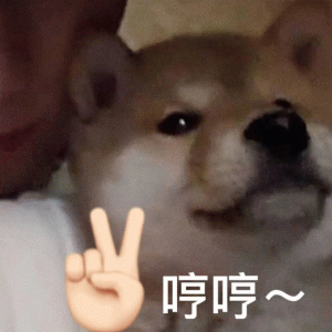 张呼安表情包 柴犬一脸傲娇,旁边比耶手势配文“哼哼”,可爱又俏皮表情包图片gif动图 - 求表情网,斗图从此不求人!