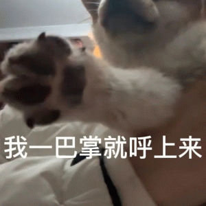 张呼安表情包 可爱猫咪伸出爪子,配文“我一巴掌就呼上来”超霸气表情包图片gif动图 - 求表情网,斗图从此不求人!
