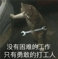 今天周三 没有勇敢的猫猫 只有痛苦的工作 摆烂猫猫表情 流泪猫猫头 星期几图片 星期几表情包 《今天周三》没有勇敢的猫猫,只有痛苦工作的猫猫 ...