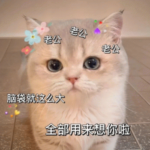 一组谈恋爱必备表情包 ​ 可爱猫咪表情包，脑袋全用来想你啦，满是“老公”字样