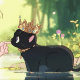 小红书热门情头：公主与她的黑猫/卡通小女孩和黑猫