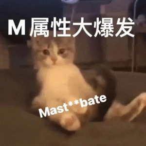 M属性大爆发 Mastbate S属性大爆发/M属性大爆发