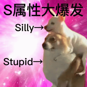 S属性大爆发 Silly-→ Stupid-→