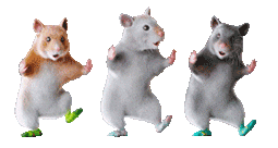 老鼠跳舞表情包