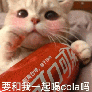 于1880 爽怡神， 要和我一起喝cola吗 可爱的要命的猫咪表情包（可爱到要命版）