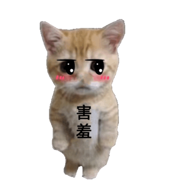 害羞 娃娃丢:开爱的罚站小猫表情包 可爱小猫脸颊泛红,表情羞涩,萌态十足的“害羞”表情包表情包图片gif动图 - 求表情网,斗图从此不求人!