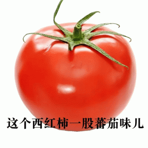 这个西红柿一股蕃茄味儿 超好玩的废话文学表情包：这废话是句废话！