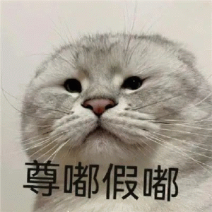 疯猴尊嘟假嘟表情包 可爱猫咪一脸严肃,配文“尊嘟假嘟”尽显呆萌表情包图片gif动图 - 求表情网,斗图从此不求人!