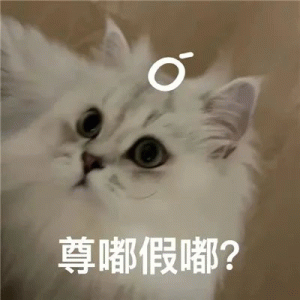 疯猴尊嘟假嘟表情包 白色猫咪瞪大眼头顶问号,配文“尊嘟假嘟?”的可爱表情包表情包图片gif动图 - 求表情网,斗图从此不求人!